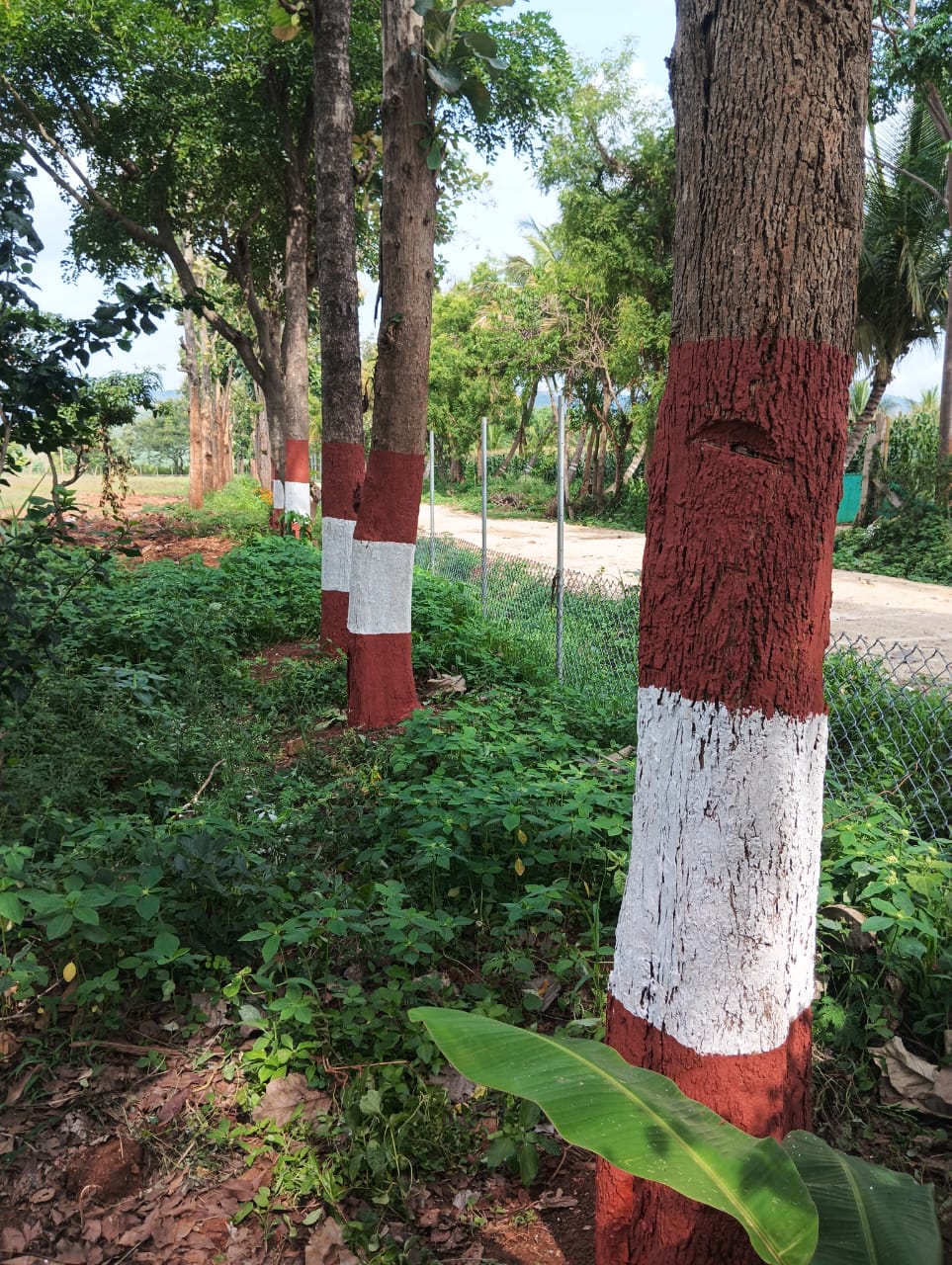 Krushi Bhoomi Farms - photo 2