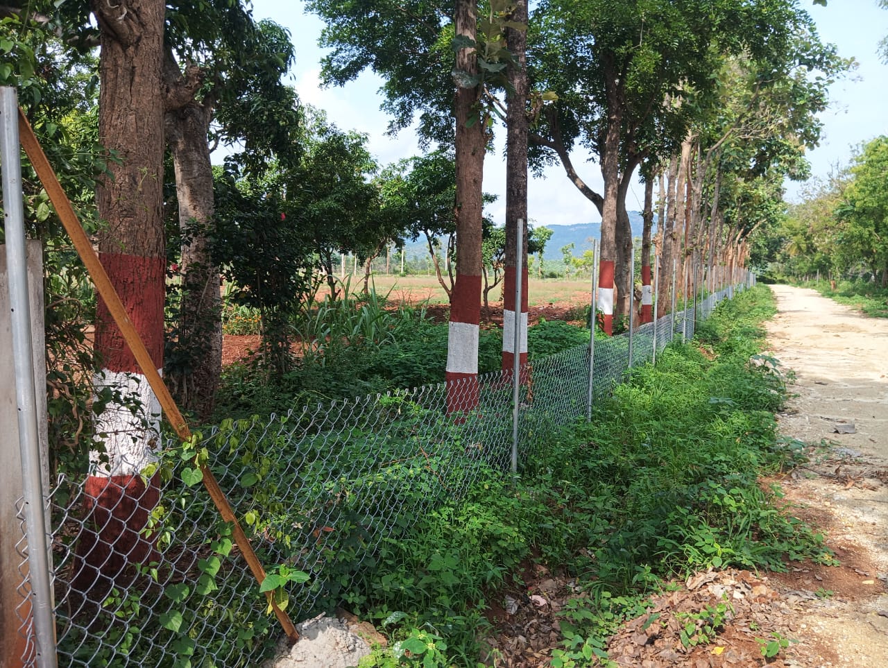 Managed farm plots
