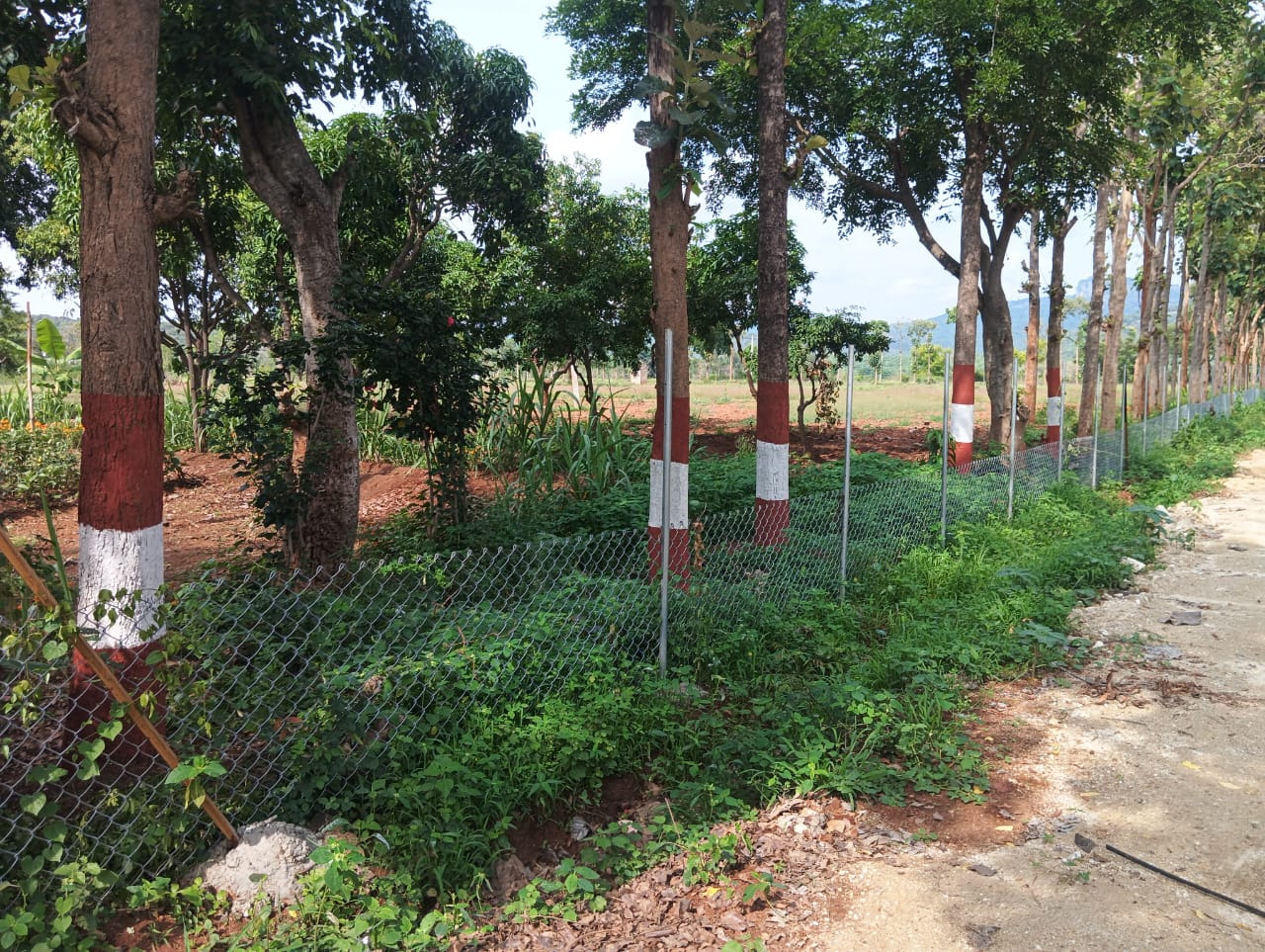 Fenced farm road for 24/7 security