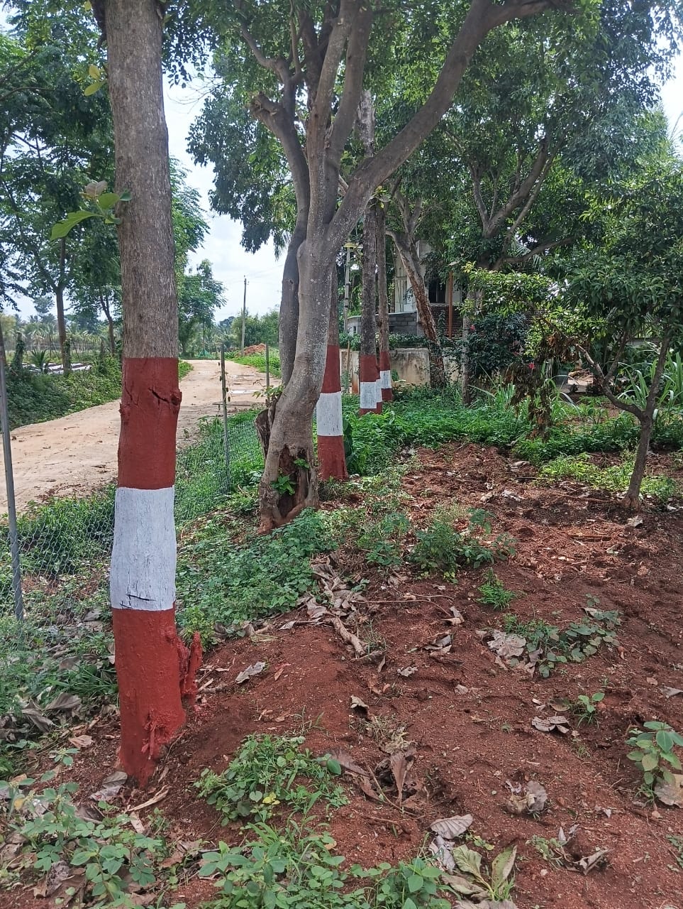 Krushi Bhoomi Farms - photo 7