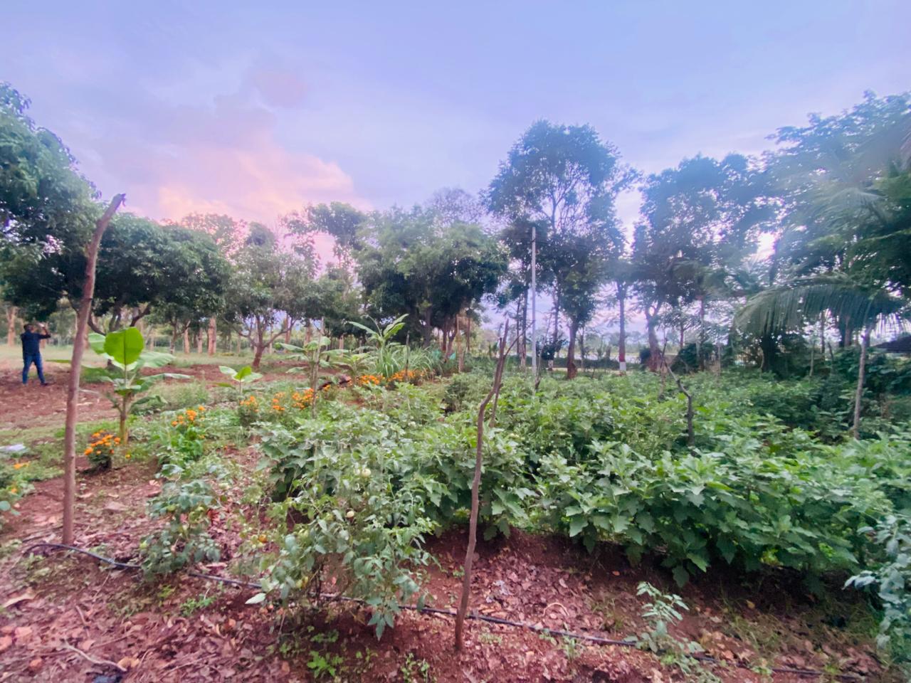Krushi Bhoomi Farms - photo 11