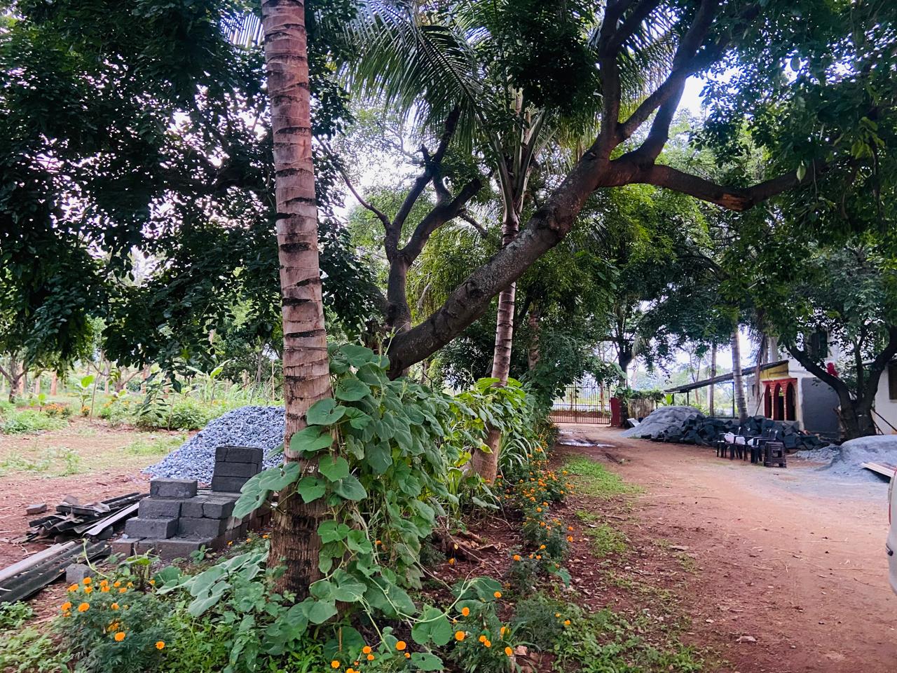 Krushi Bhoomi Farms - photo 25