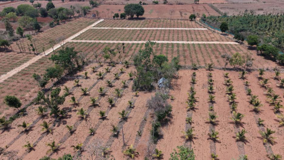 Krushi Bhoomi Farms - aerial photo 44